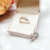 Silver And Golden Ring